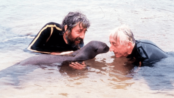 Captura de Tela 2020 07 02 às 16.46.10 560x315 - Há 38 anos, Jacques Cousteau fazia primeiras imagens subaquáticas do boto-cor-de- rosa na Amazônia - manaus náutica