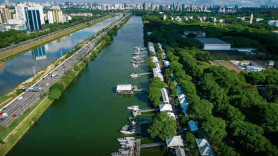 Captura de Tela 2020 12 02 às 08.40.08 560x315 - São Paulo Boat Show 2020 movimentou R$ 155 milhões em seis dias de evento - manaus náutica