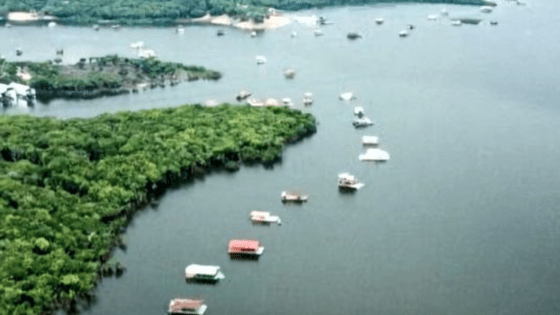 Captura de Tela 2023 06 06 as 07.32.39 560x315 - Prefeito propõe ‘flexibilização na retirada de flutuantes do Tarumã-Açu, em Manaus - manaus náutica