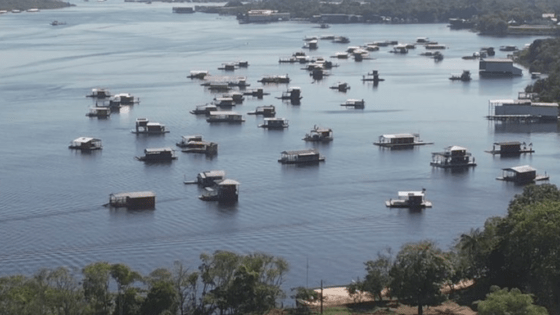 Captura de Tela 2023 07 24 as 15.09.40 560x315 - Juiz rejeita pedido para obrigar Ipaam a liberar flutuantes no Tarumã-Açu, em Manaus, informa site - manaus náutica