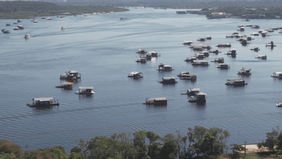 Captura de Tela 2023 08 25 as 14.39.39 560x315 - Juiz suspende remoção de flutuantes no Tarumã-Açu em Manaus; só os abandonados devem ser retirados - manaus náutica