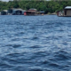 Captura de Tela 2024 01 16 as 10.32.12 80x80 - Retomada da navegação no Rio Negro e no Tarumã, com a ‘volta da água’:  segurança é tudo - manaus náutica