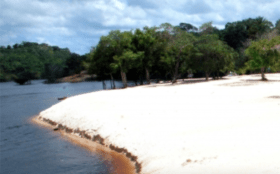 Captura de Tela 2025 01 06 as 17.16.03 280x174 - Após maior vazante da história, é hora de cuidar dos barcos para voltar a navegar no Negro e no Tarumã, em Manaus - manaus náutica